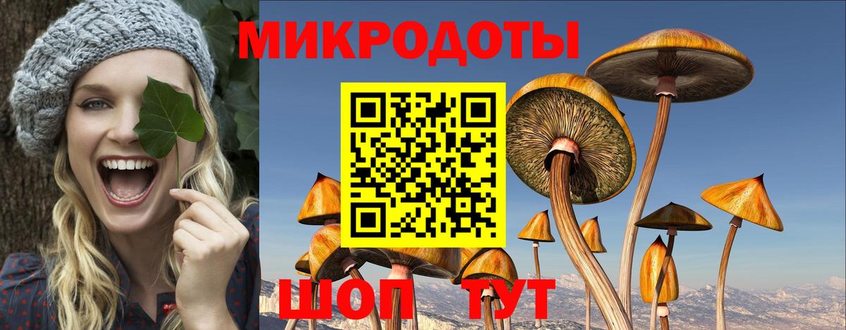 Владимир  Псилоцибиновые грибы ЛСД  Вход с VPN 