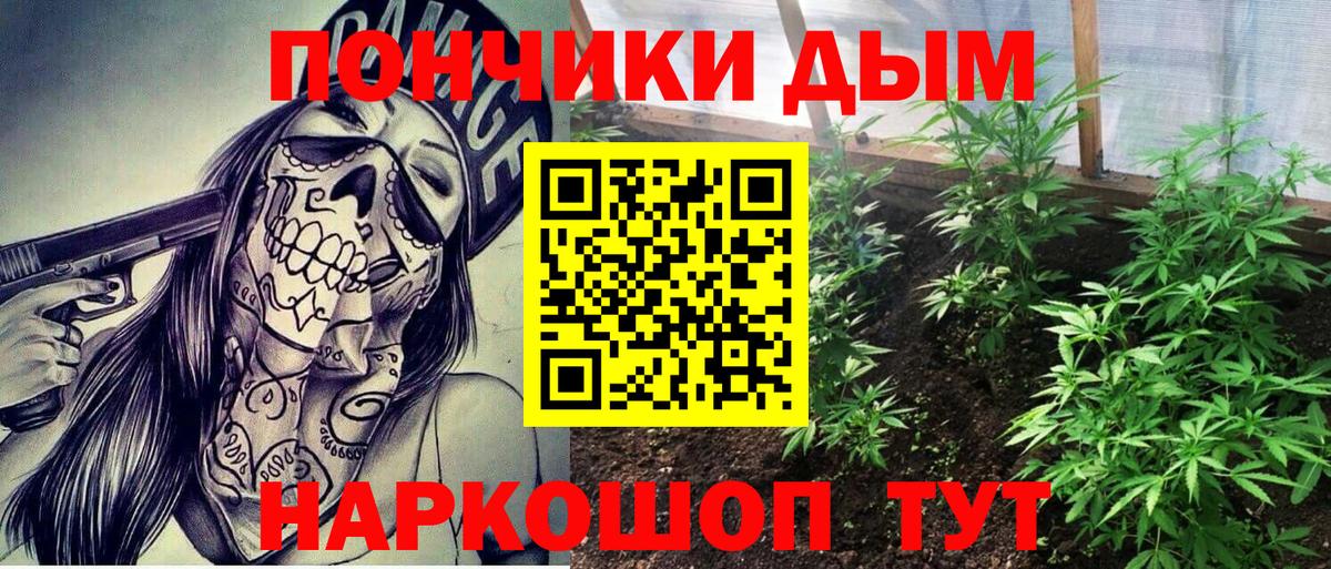 Бошки Шишки конопля  Владимир  МАРИХУАНА Amnesia 